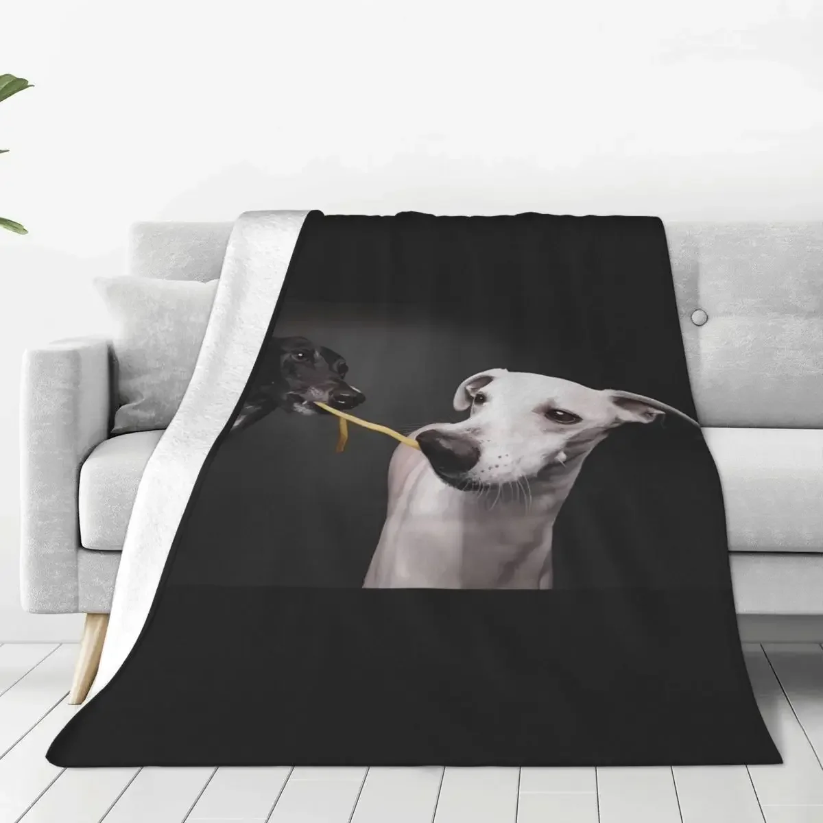 Greyhound Whippet Lurcher Galgo Dog Flannel Blanket Pet Super Warm Throw Blanket for Living Room Office Bedspread Sofa Bed Cover