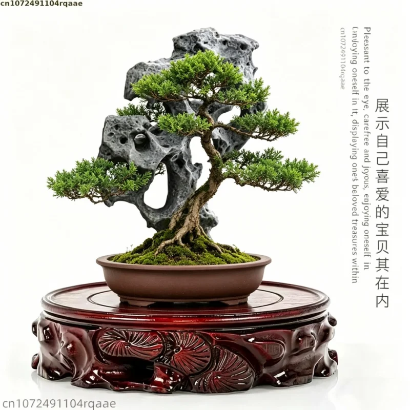round-carved-wooden-display-stand-solid-wood-base-for-stone-bonsai-figurine-vase-home-decoration-tea-sets-pedestal