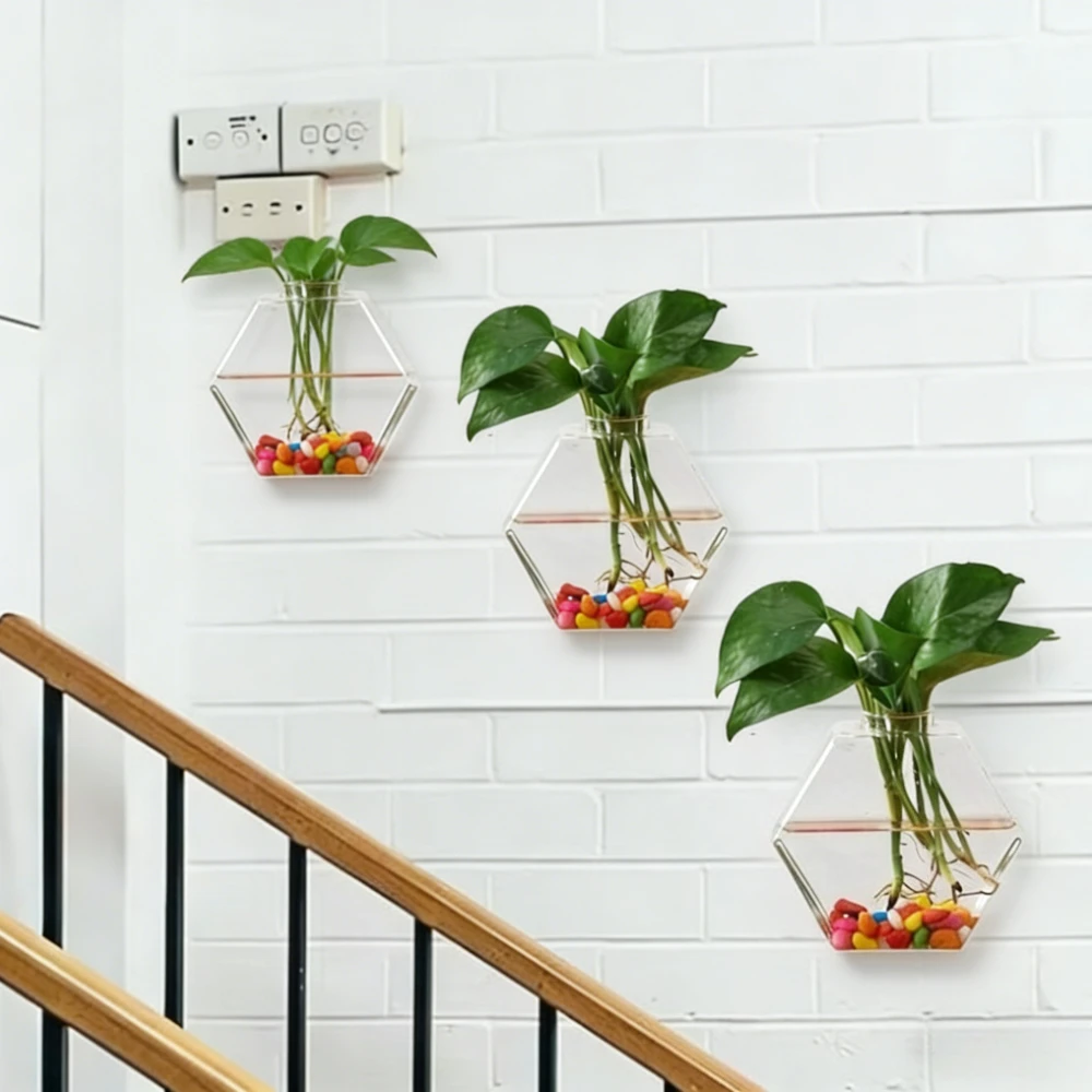 1/3 Pack Wall Hanging Glass Terrarium Hydroponic Planter for Office Decor Creative Flower Pot Plant Container Living Room Decor