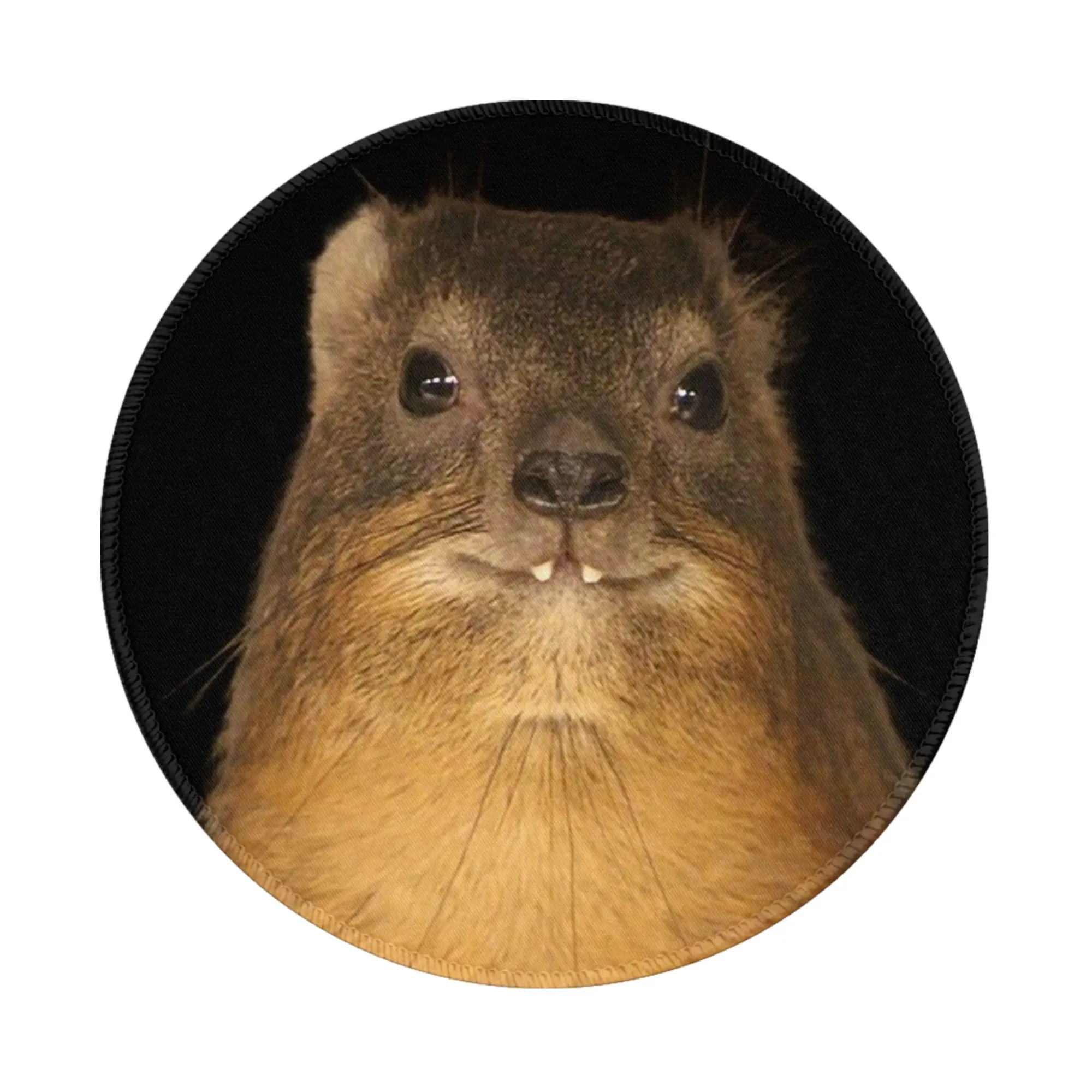 Rock Hyrax Photo Dassie Vampire Potato Mouse Pad Computer Keyboard Mouse Mat Gaming PC Laptop Desk Mat Accessories Table Mats