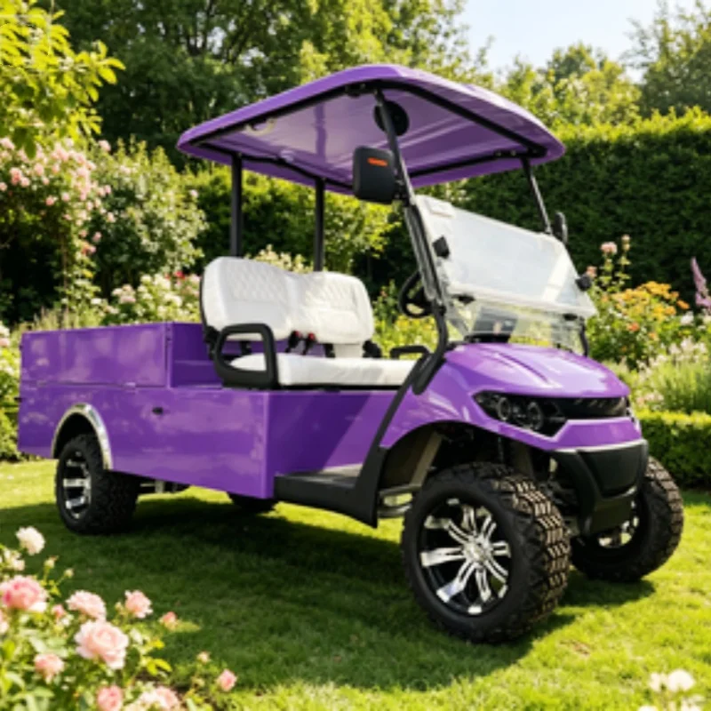 Made In China Electric Golf Cart 2 Seater 5KW Hunting Golf Club Cargo Cart With Off-Road Tires Rear Cargo Box Upholstered Seat