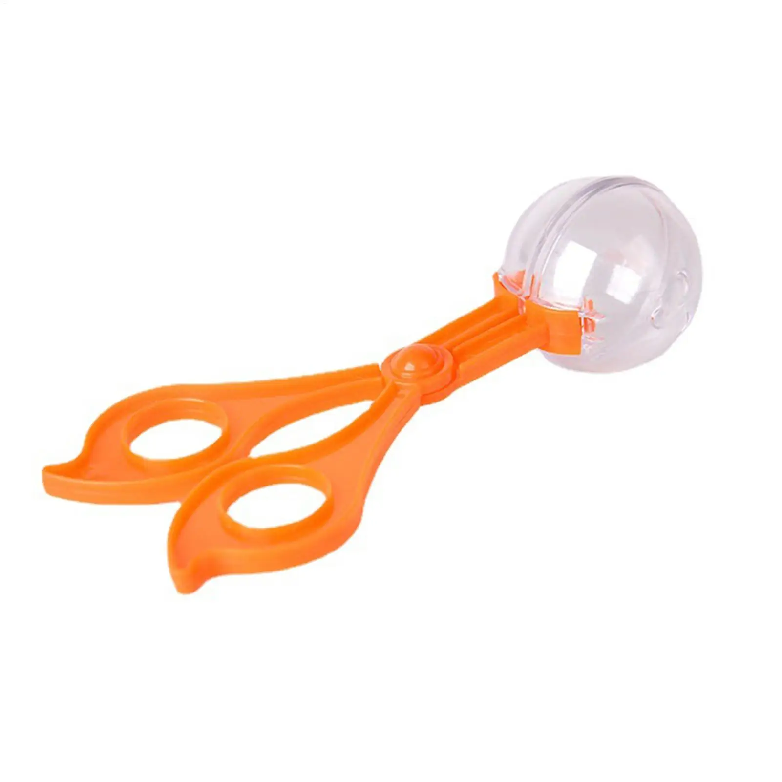 เครื่องมือล่าสัตว์ผีเสื้อสําหรับเด็กชุดจับผีเสื้อสําหรับอายุ 4-6 จับคลิปแหนบการสํารวจกลางแจ้งชุดสําหรับธรรมชาติ