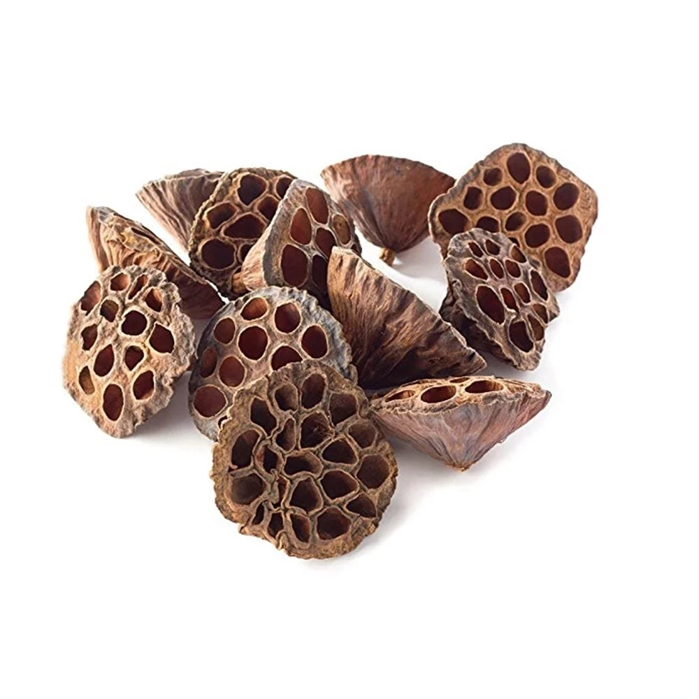 Package of 10 Mini Lotus Pod Heads For Crafting Hand Natural Dried Brown Lotus Pods No Stems