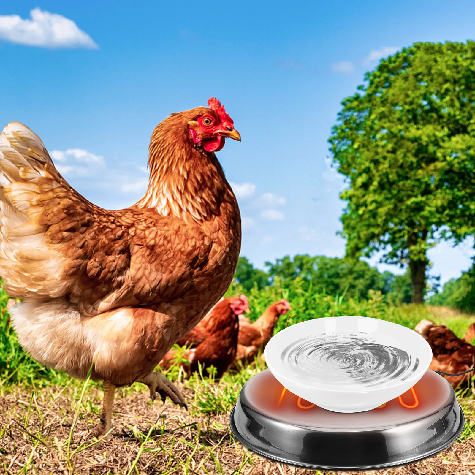 

Нагревательная база для поилки для птицы из нержавеющей стали, подогреватель для ведер с водой, ЕС-стандарт