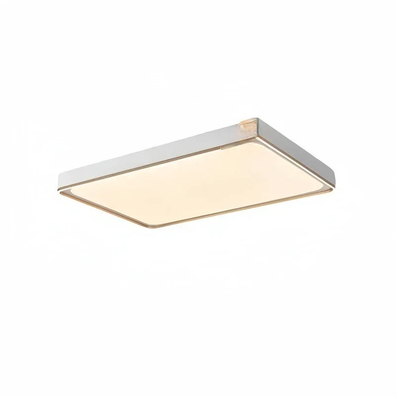 

Full spectrum eye protection living room ceiling light high-end modern simple home hall