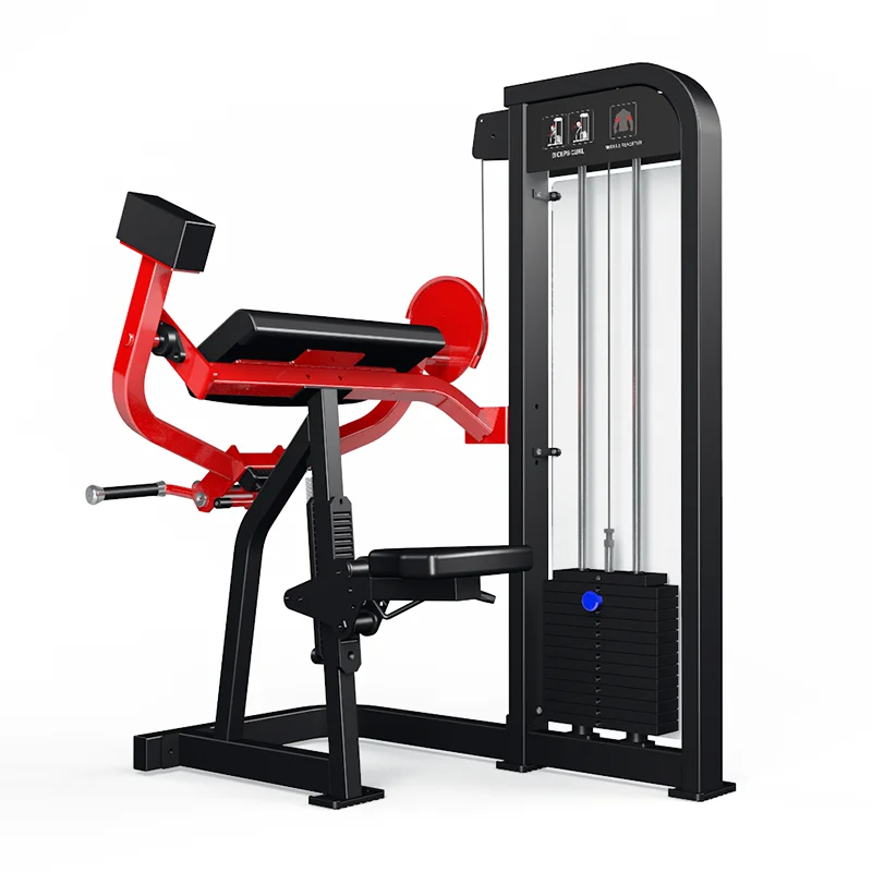 Fitness 45 Degree Seated Biceps Curl Machine Commercial Strength Trainer Adjustable Arm Support Eco Friendly Steel