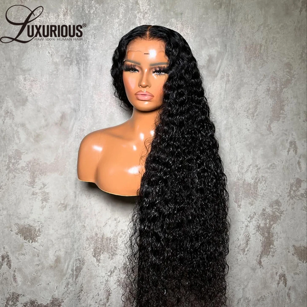 360 Full Lace Curly Wig Brazilian Remy Human Hair Invisible 13x4 Lace Frontal Human Hair Wig Bouncy Curly Wig Human Pre Plucked