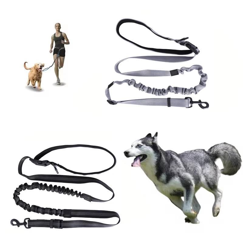 Freihändige Hundeleine für Spaziergänge, Laufen und Joggen, Verstellbare Hundeleine mit Hüftgurt, Brustgurt und Zugseil, Hundezubehör – Detail 2
