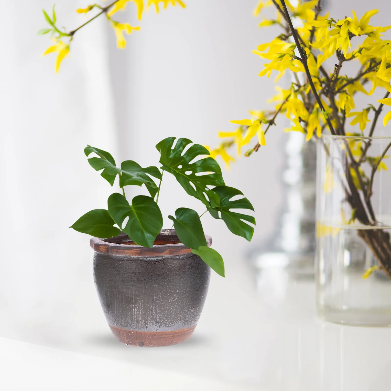 

4Pcs Ceramic Flower Pots Mini Succulent Planters Small Decorative Pots Indoor Garden Nursery for Desk Bookshelf