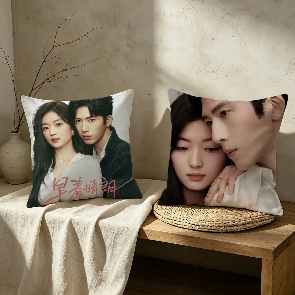 Chinese TV The Early Spring Sun Qian Jing Boran Pillow Case Cushion Cover Throw Pillow Case For Car Sofa