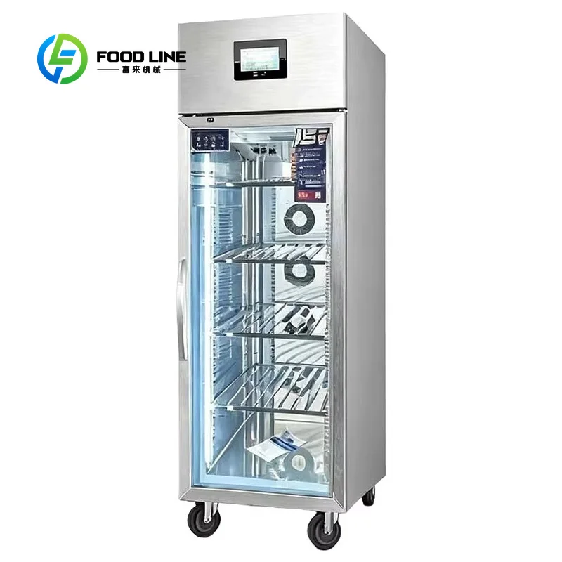 Smart Thawing Cabinet Commercial Electrostatic Defroster with Customizable Features for Supermarket Meat Seafood customized