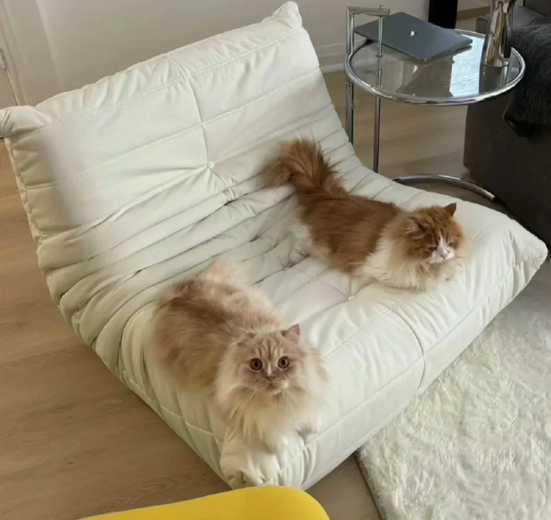 

Super good caterpillar sofa big sale, full of value for money, pass by, but don't miss it.