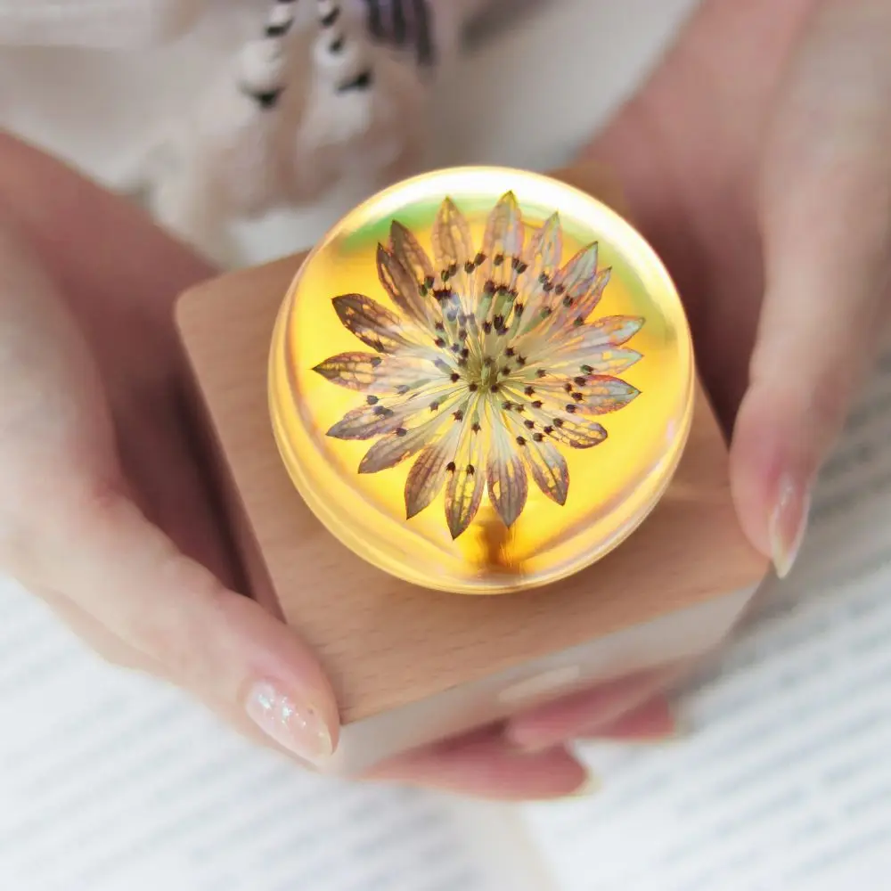 

Preserved Real Fresh Flower Sunflower Rose Crystal Ball Rechargeable Dimmable LED Night Lights With Wooden Base in Gift Box