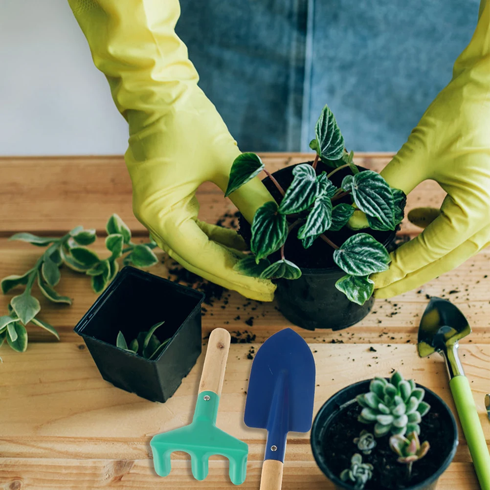 Juego de herramientas de jardinería para niños, pala con mango de madera, rastrillo, paleta, guantes, actividad al aire libre, regalo educativo divertido, 5 uds.
