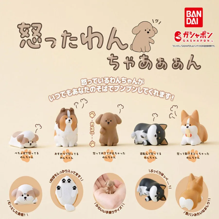 جديد الأصلي غاضب لطيف كلب صندوق أعمى Kawaii شيبا Inu بيمبروك فصيل كورجي سطح المكتب ديكور مختلف نمط العصرية اللعب هدية عيد ميلاد