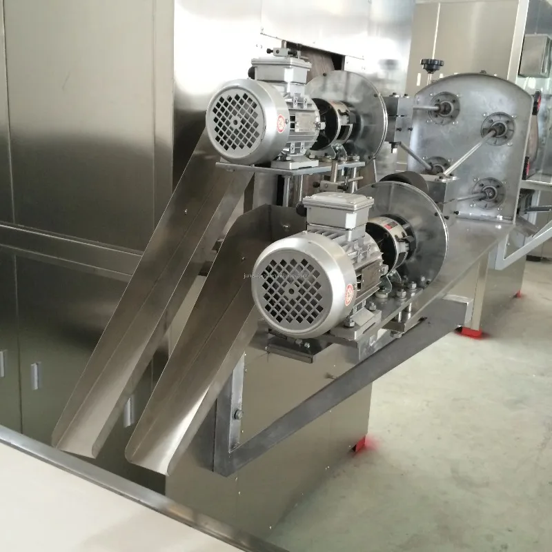Small Capacity Double Color Wafer Stick Equipment Chocolate Filled Egg Roll Sandwich Wafer Stick Making Machine Customized