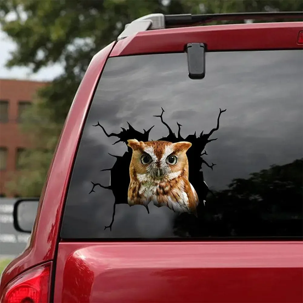 

Owl Car Decals, Bird Car Stickers - Realistic Owl Stickers for Car Windows, Walls Series 122 Size 8" x 8"