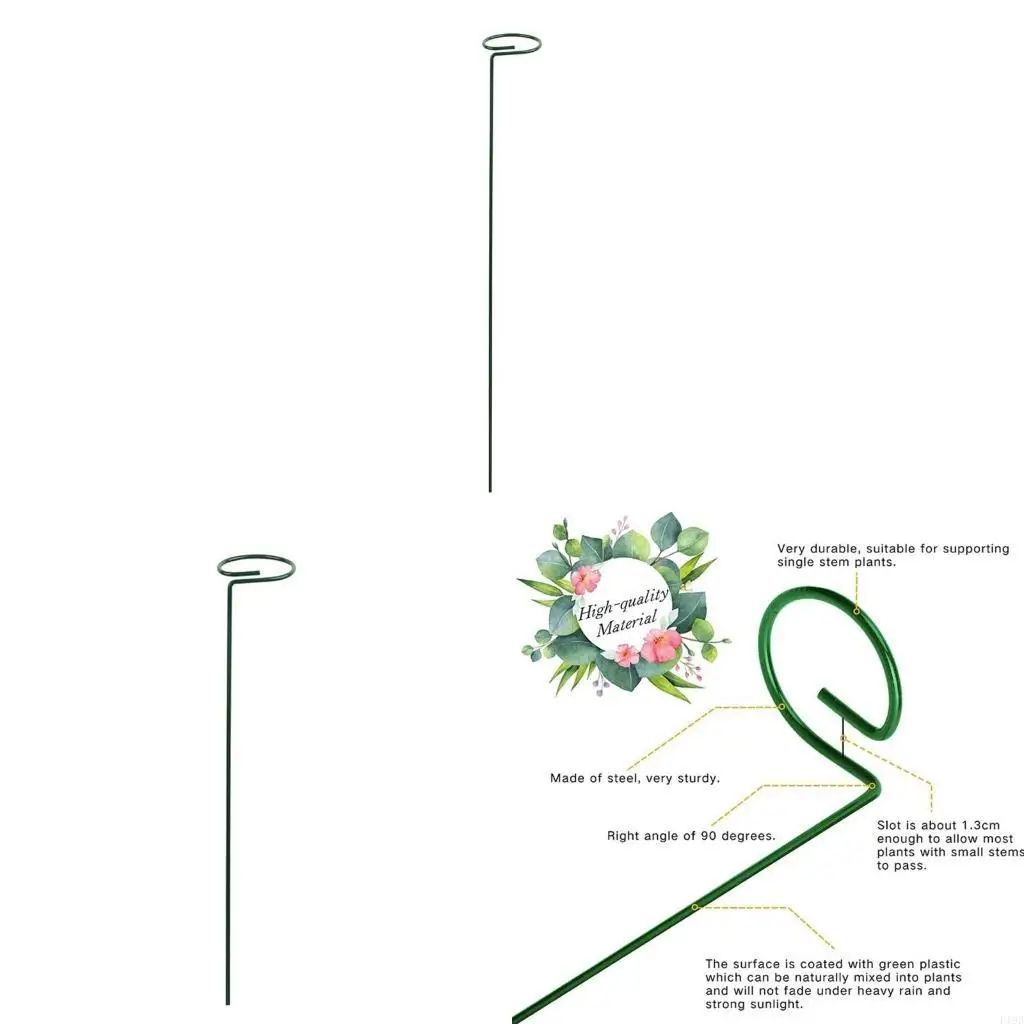 

F19B Plant Plant Plant Plant Cage Support Ring