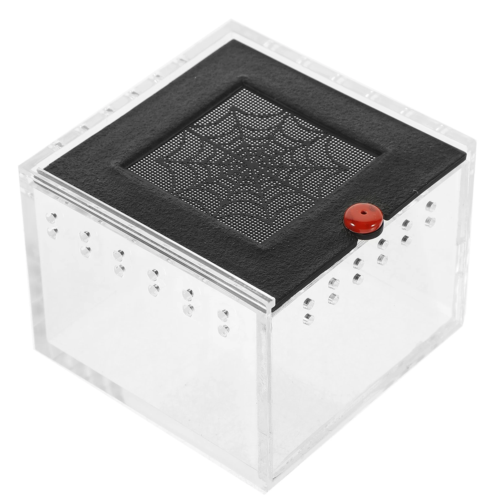 

Acrylic Container Reptile Feeding Box Spider Terrarium Insect Habitat Cage Clear Containers Ventilation Small Holes Prevent
