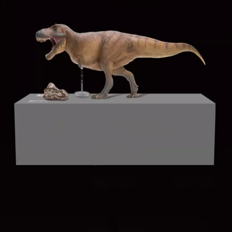 Jurassic Tyrannosaurus rex Cameron Dinosaur Museum 1:35 scientific and artistic model with skull figurine toy desktop ornament