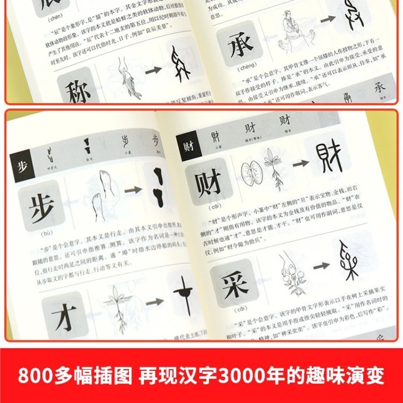 Shuowen Jiezi Explicación detallada, Un Reino de caracteres chinos para niños, Un Libro Evolucional de caracteres pictográficos