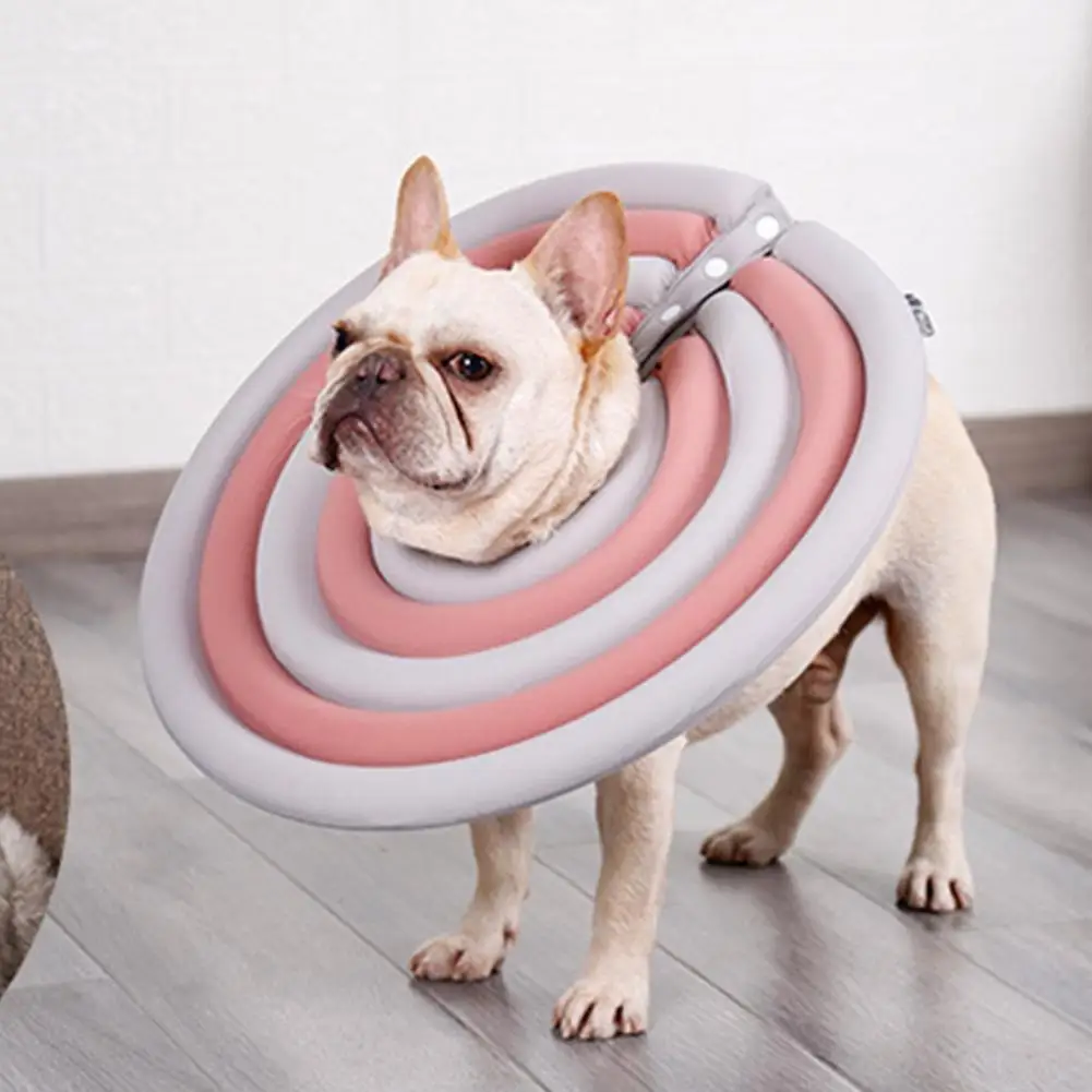 Cat Recovery Collar Good Texture Pet Neck Cone Puppy Cat Neck Protective Circle Elizabethan Collar