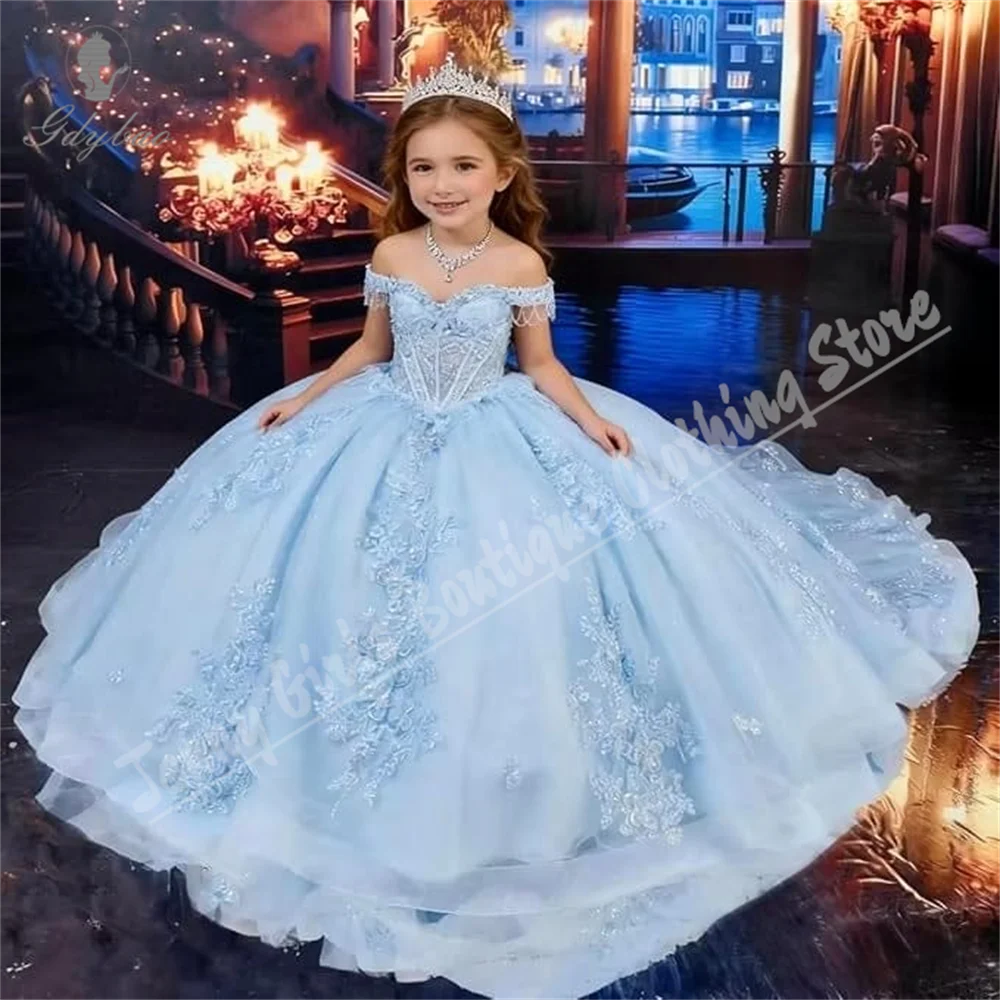 Light Blue Elegant Flower Girl Dress with Fluffy Tulle Lace Appliqué Princess Birthday Party Banquet Evening Dress Customizable