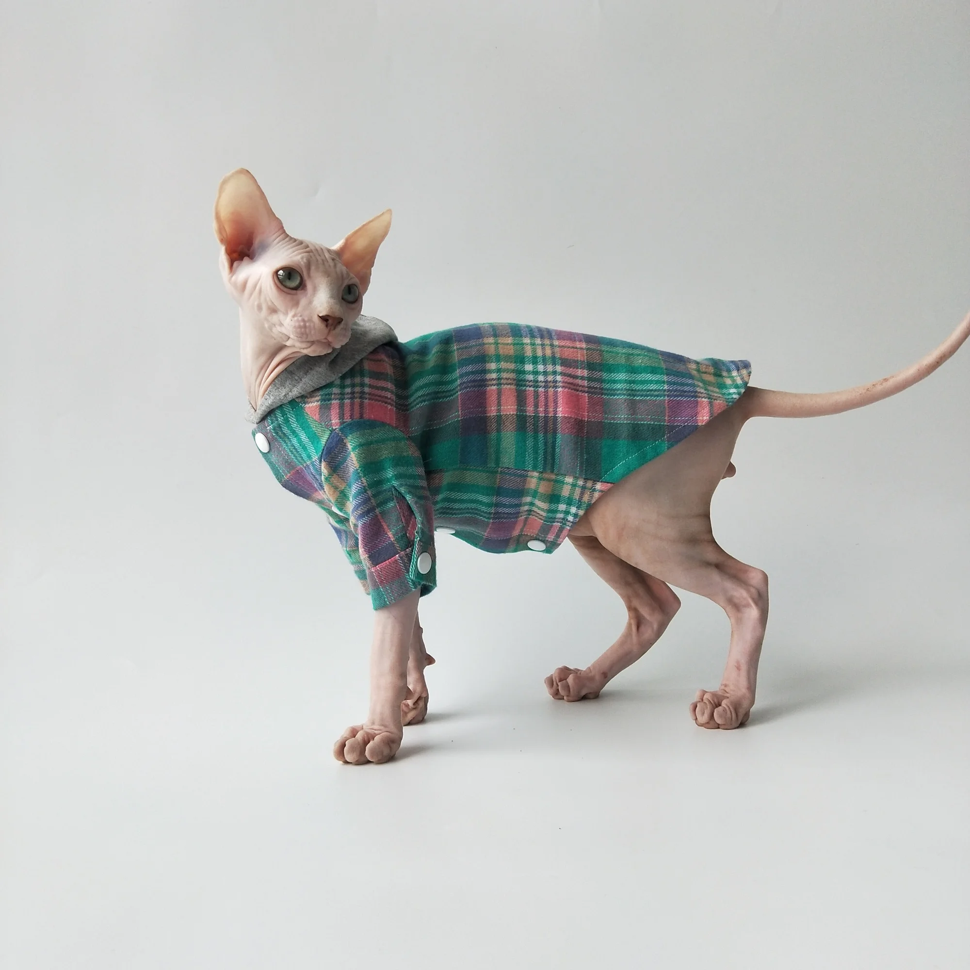 fashion Coat for Hairless Cat in Spring Blue Hooded long-sleeved Plaid Shirt With Buttons Soft Costume for Sphinx Easy to Put on