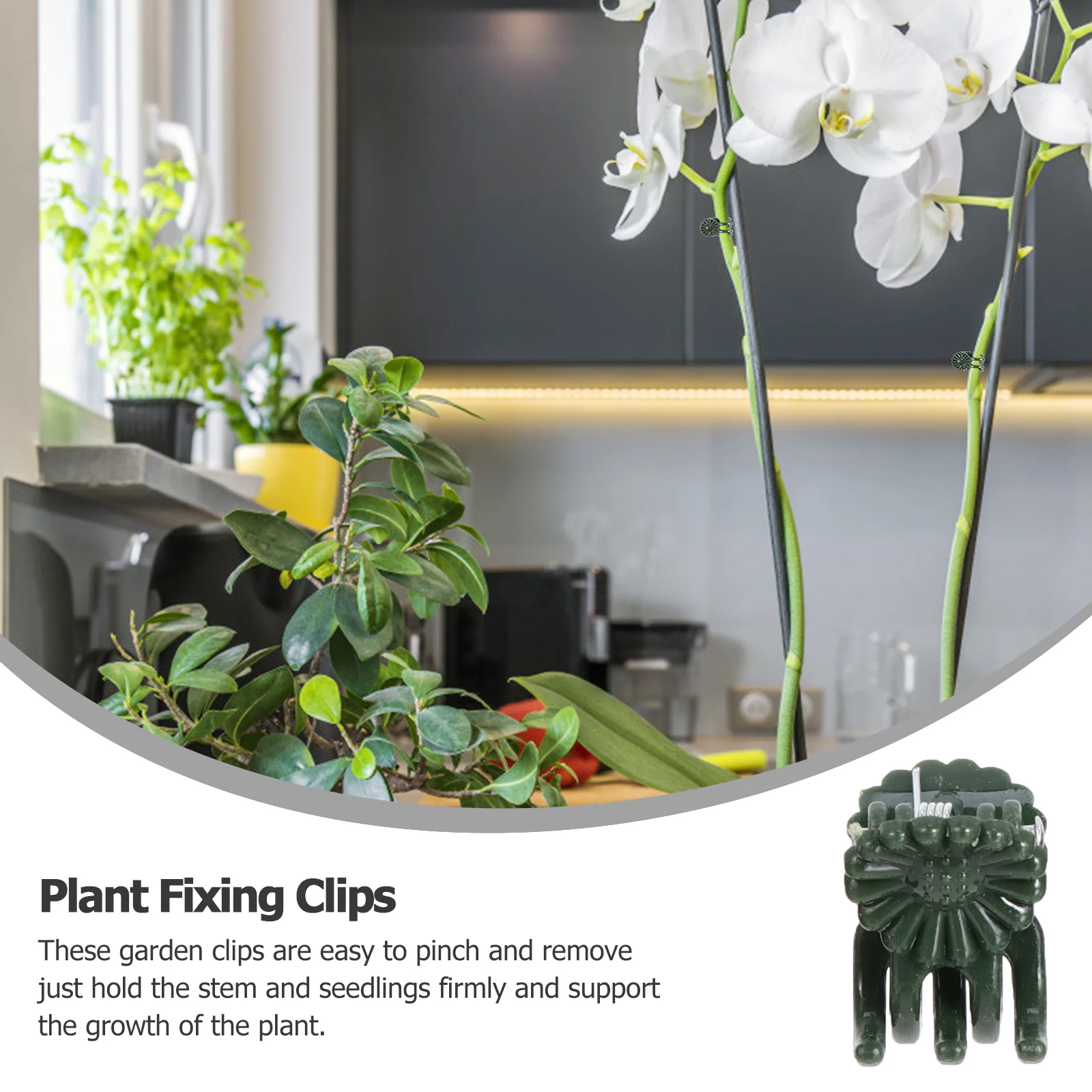 100pcs Plant Fixing Clips Garden Support Clamps For Tomatoes Cucumbers Peppers Greenhouse Gardening Clips Set Reusable Plastic