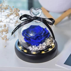 Natural Eternal Flowers Beauty and Beast Forever Preserved Rose In Glass with Led Valentine Wedding Mothers Day Gifts for Her
