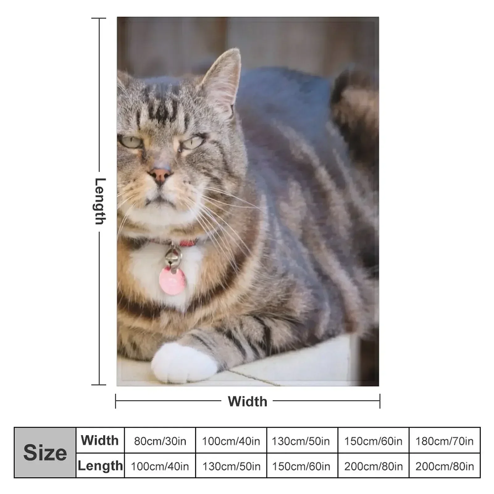 Grumpy Tabby Throw Blanket bed plaid Luxury Brand christmas decoration For Baby Blankets