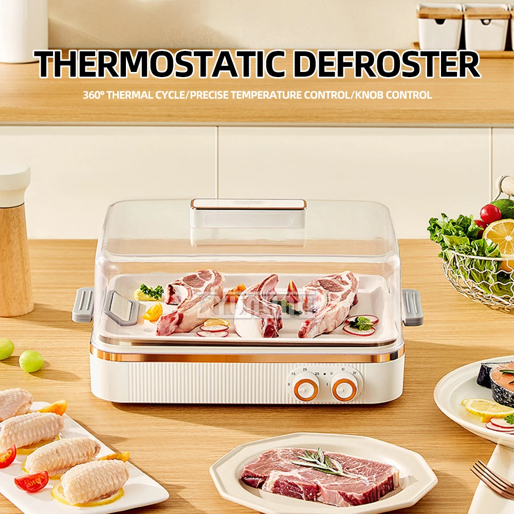 Kitchen Quick Thaw Machine Household Ice Melting Artifact Quick Thaw Machine for Meat Steak