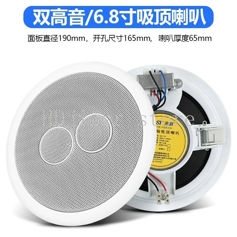 

Xianke dual tweeter ceiling speaker, a dedicated Bluetooth ceiling-mounted for stores