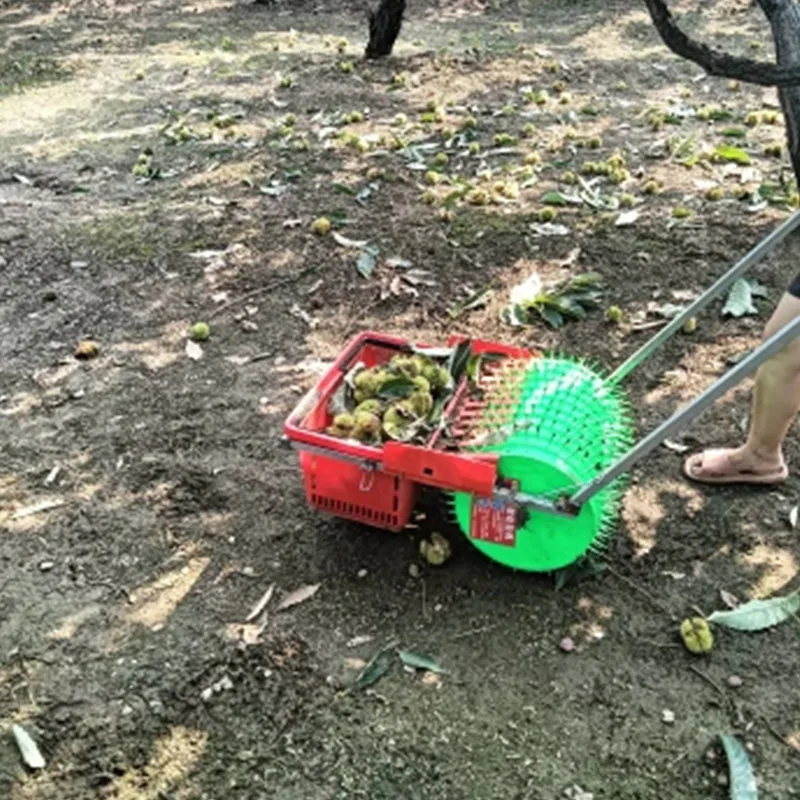 Big Orchard Farming Tools Chestnut Hand Push Walking Chestnuts  Harvesting Tools Chestnut Bur Collection Chestnut Picking Tool