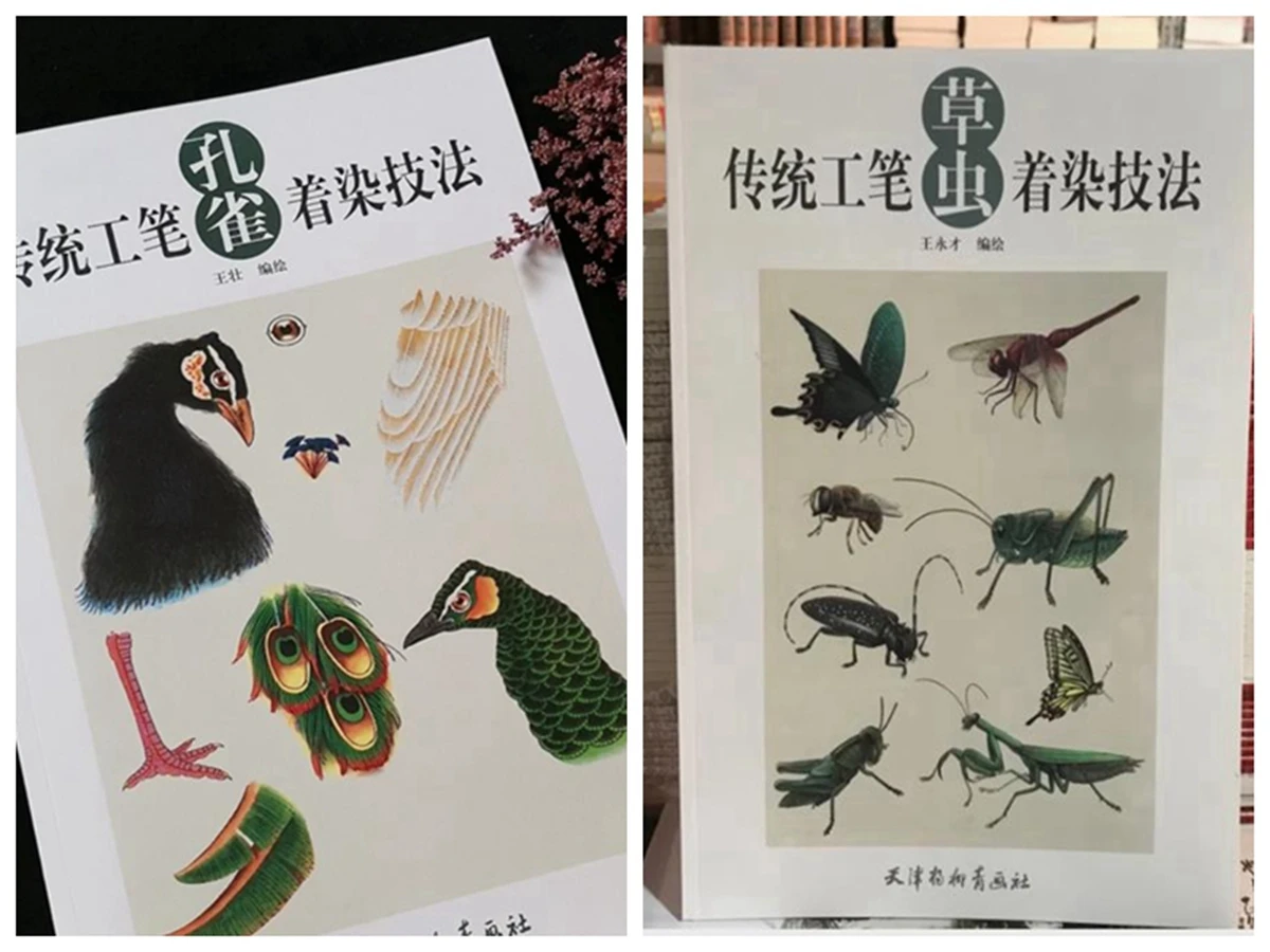 Chinese Traditional Brush Ink Painting Book-How To Peacock Insects Technique Basic Textbook