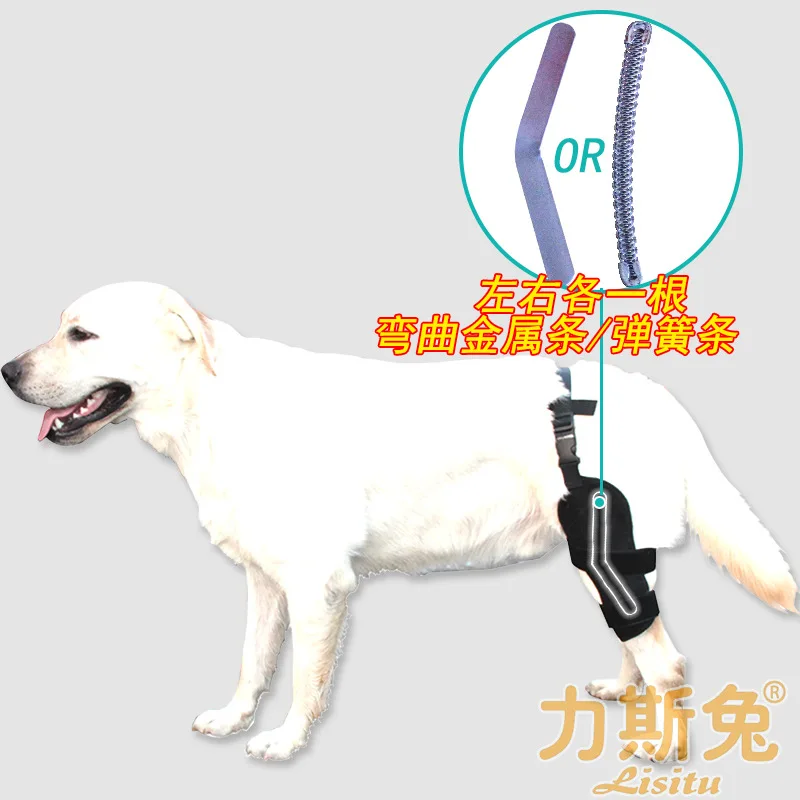 دعامة دعم الركبة للكلاب، دعامة لربط الرضفة، حزام تثبيت بعد الجراحة، دعم لكسر الساق الندية تيدي