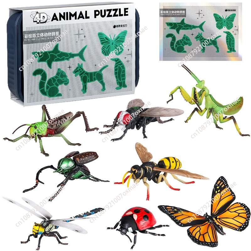 昆虫組み立て動物モデル科学教育玩具子供の教育-4d-組み立て