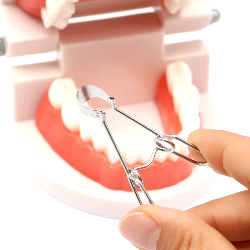 100pcs/Box Dental Sectional Matrix System Dental Sectional Matrix Band Resin Clamping/Seperating Ring Dentist Tools