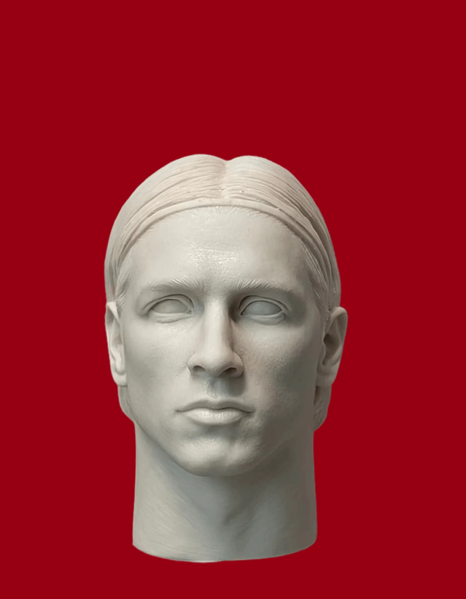 

1/6 Casting Resin Model Assembly Kit, Resin Model Head, Unpainted 35096