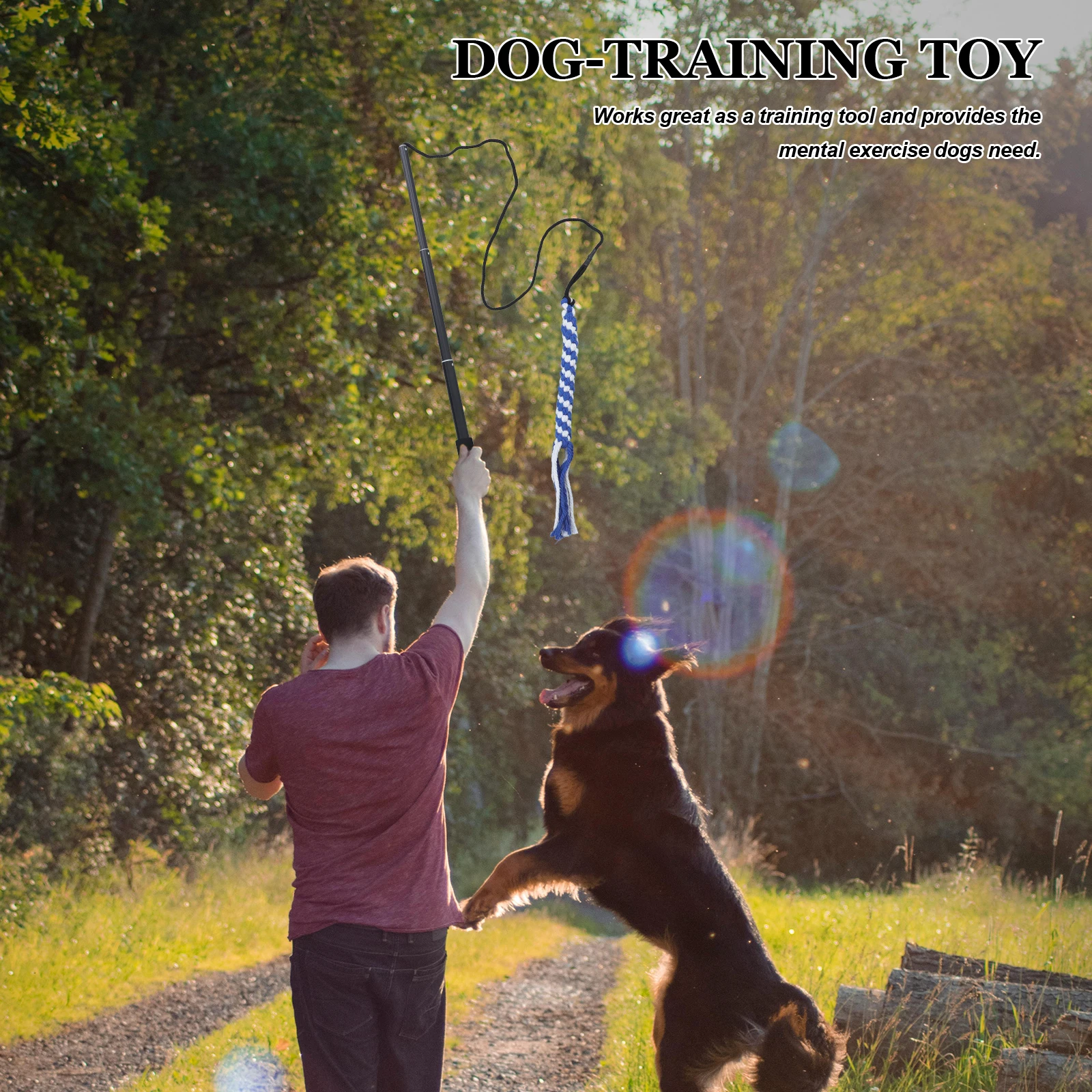 

Dog Stick for Mental Exercise Extendable Pole Portable Pet Teaser Chasing Tail Interactive Puppy Toys