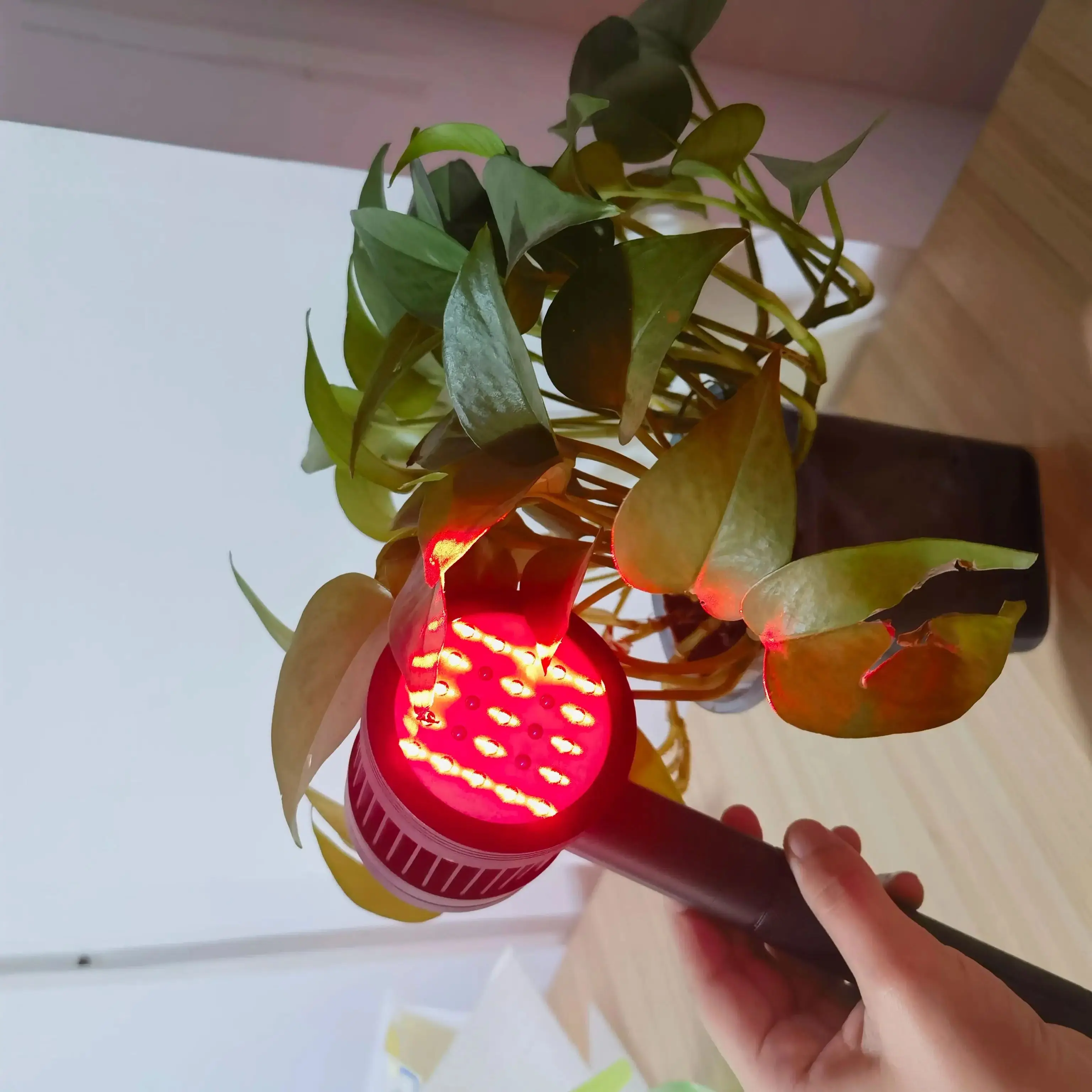 

Лазер для домашних животных с двойной длиной волны 6x808 нм, глубокое проникновение, 19x650 нм, ремонт поверхности для комплексного облегчения боли