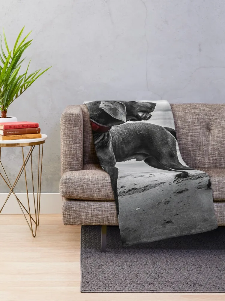 Weimaraner Throw Blanket Soft Bed Blankets manga Travel Blanket