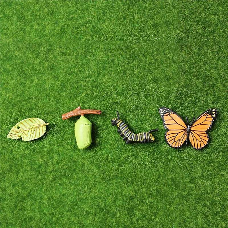 

WOWFU-3X Simulation Life Cycle Figurine Of A Monarch Butterfly Growth Cycle Insect Animals Educational Biology Science