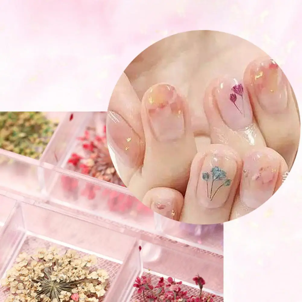 Dry Flower Manicure Deco Vibrant Floral Nail Art Supplies 12 Colors of Natural Dried Flower Charms for Manicure Uv Gel Polish