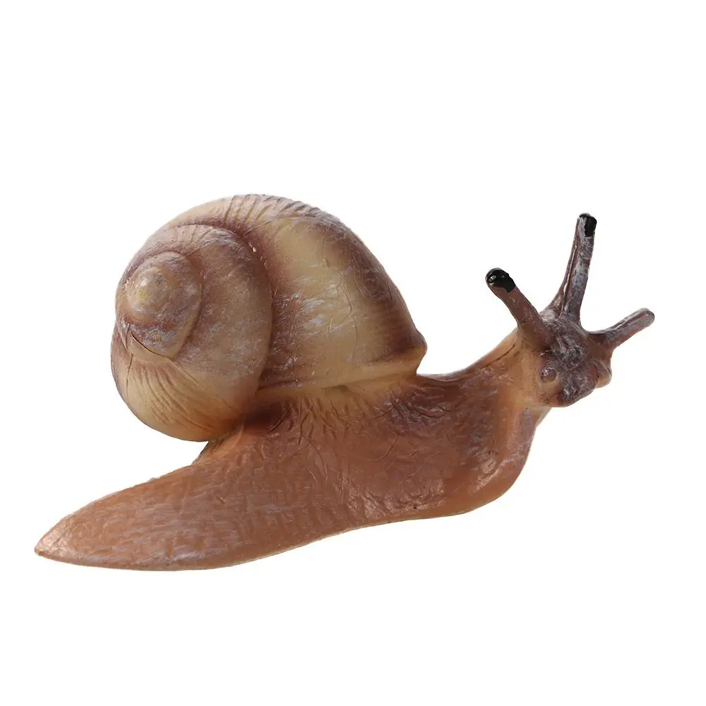 Cedo educacional realista gafanhoto biologia ciclo de vida figuras orando mantis caracol ciclo de crescimento mantis estatueta