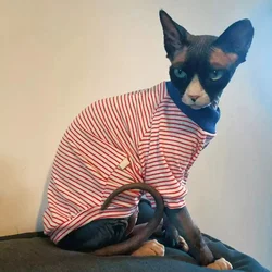 Fashion Striped Cotton T-Shirt for Devon Rex Long Sleeves White Coffee Coat for Sphynx Cat Loungewear for Male Cat in Spring