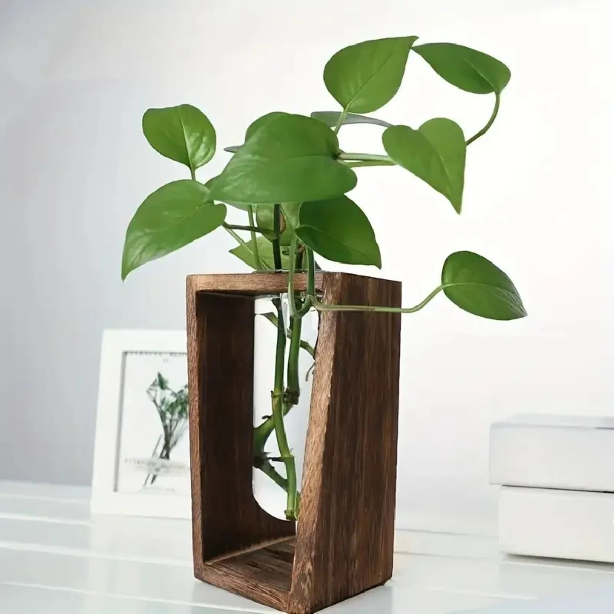 Plantenvermeerderingsstation H - Propagation Station Vase recensie en prijs