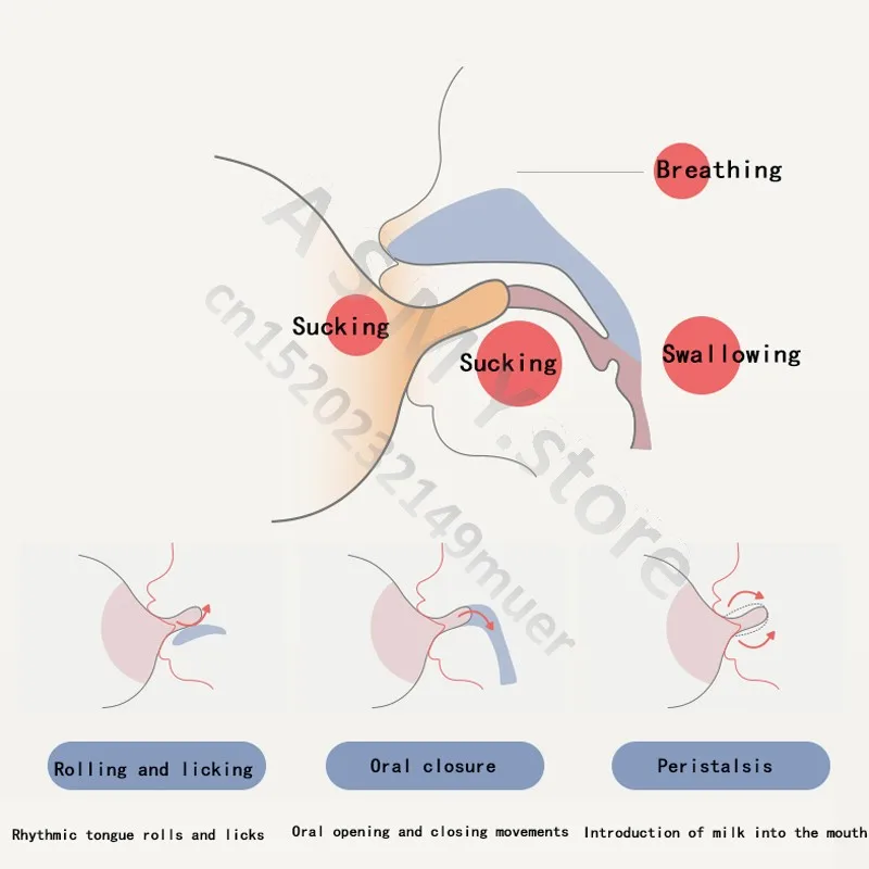 Oberni newborn PPSU baby bottle, large wide-bore easy to clean, wear a handle, baby more convenient to drink milk