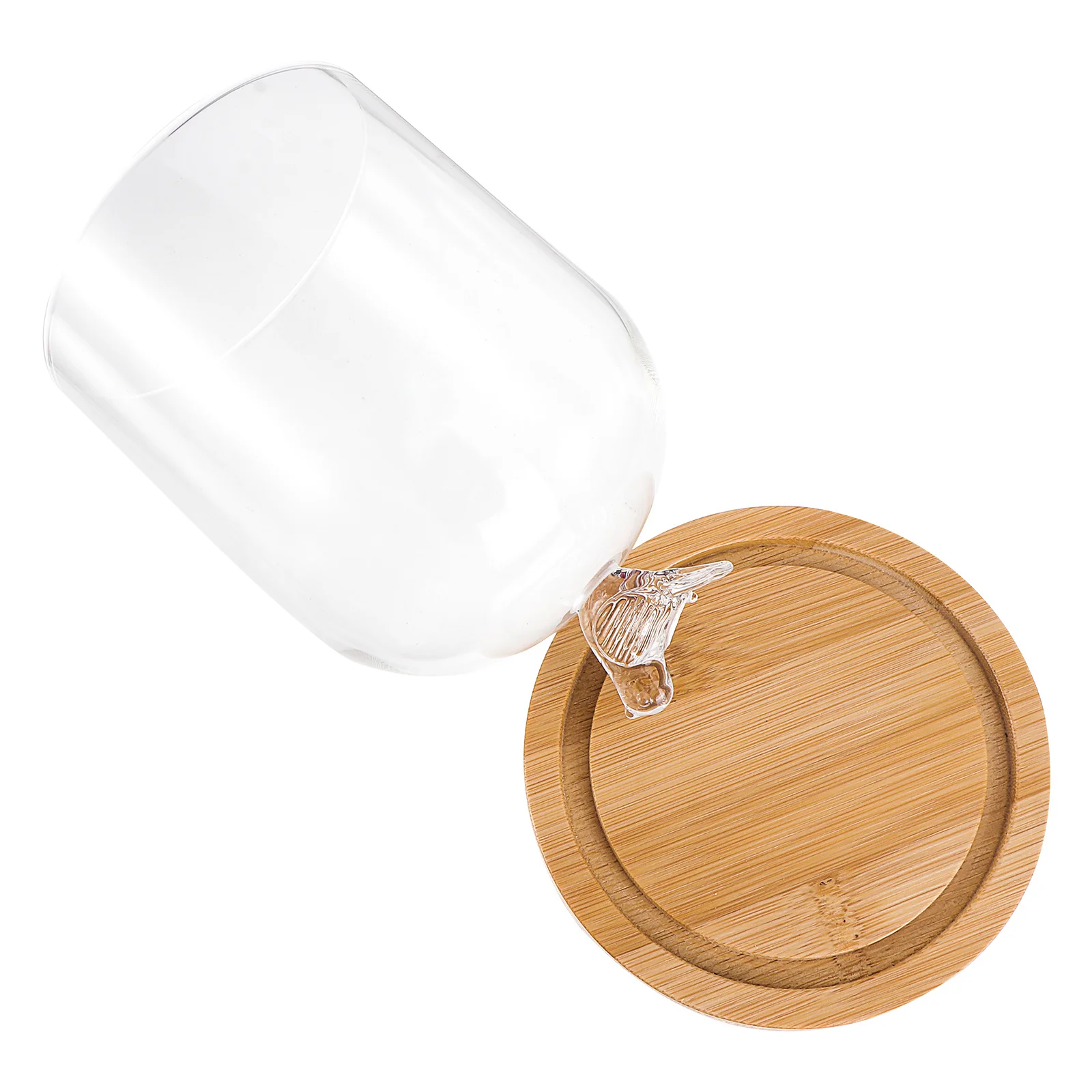 

Glass Dome With Wood Base Transparent Flower Display Case For Diy Dried Flowers Decor Craft Unique Gift Antislip Bottom