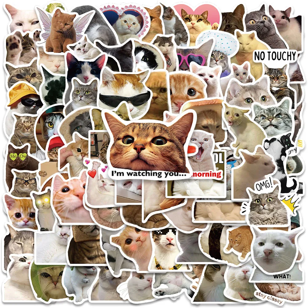 meme gato engracado adesivos garrafa de agua gatinho laptop bagagem notebook skate decalques de vinil a prova dagua carro 50 100 pcs 01